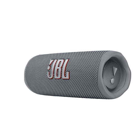 JBL Flip 6